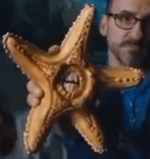 Singing Starfish