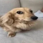 Recording 11/04/25 20:20:28