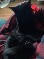 Tag, Your’e It (instrumental)