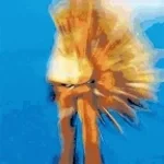 Download (19)[music+vocals]