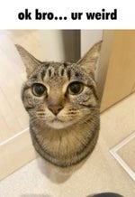 1 I'm so sorry ahh Examination