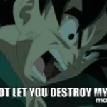 i will not let you destroy my world - Sound