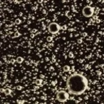 Water Monster Bubbles