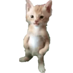 Ik werk niet bij de gemeente