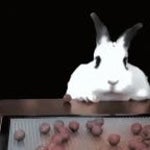 What is this diddy blud doing (LOOPABLE)