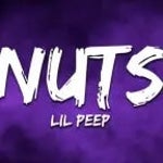 nuts