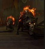 Fetch me their what?