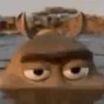 Moto Moto from Madagascar