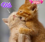 ghetto iranier sped up