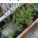 Royale Grow a Garden