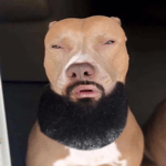 AKUTAKBUATBENDEBENDEGAYNI