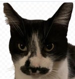 v12044gd0000cnpojbnog65o1vlq1700