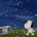 when the stars talk at night