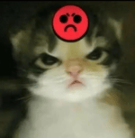 tie pilot - ive got them in my sights