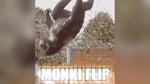 monkey flip xd