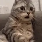 '12 is OLD...I Was Looking for a 6 Year Old!' DISGUSTING