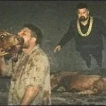 TikTok - Make Your Day