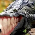 Whats New Scooby Doo (copy)