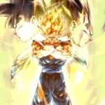 you had no chance of defeating me vegito