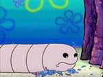 Alaskan Bull Worm Ouuch
