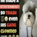 cartoon phone call sound effect