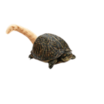 ignore my friends giggle #shorts - Sound