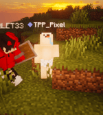 SCHNITZEL MIT POMMES!