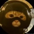 t shirt invincible edit