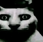 Hello? This is your mother...