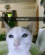 Edith Piaf Non, Je ne regrette rien