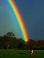 mejikuhibiniu by Tenxi