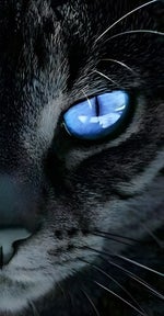 Recep İvedik Duygusal Fon Müziği (Sensiz Olmaz)