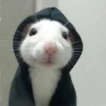 Ratchef Anthem SLOWED