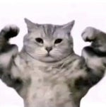 Vieze Asbak, DIKKE BAAP & Natte Visstick Pompen Met Die Subwoof