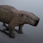 Slip and Fall Sound Effect