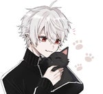 Olha lá olha só que bunito que bacana