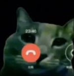 papu papu tienes una videollamada