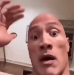 the rock