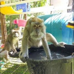 Fortnite Small Shield Potion Sound Effect (HD)