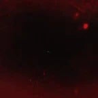 The Rake Nightmare Hour Starting Roblox - ElBromixCRYM