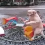 You've been warned...