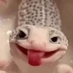 Lizard but weird