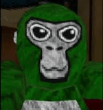 jmancurly shiny roxx