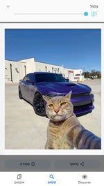 Japanesse rage ahaha