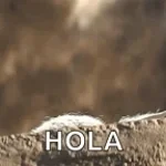 Hola como estas ?
