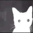 original sound - omaryousuf__1756683747_musicaldown.com