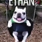 ethan