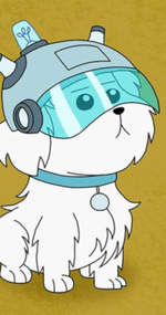This is a Dog