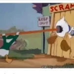 y mas niqué ma race