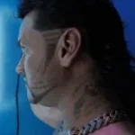 Mullet badman